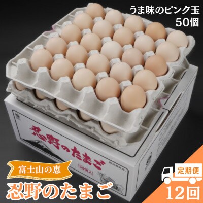 【毎月定期便】【新鮮な玉子】富士山の恵忍野のたまご‐うま味のピンク玉‐50個入全12回