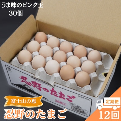 【毎月定期便】【新鮮な玉子】富士山の恵 忍野のたまご‐うま味のピンク玉‐30個入全12回