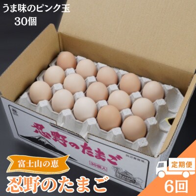 【毎月定期便】【新鮮な玉子】富士山の恵 忍野のたまご‐うま味のピンク玉‐30個入全6回