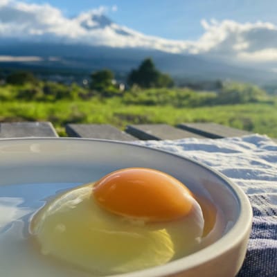 【毎月定期便】【新鮮な玉子】富士山の恵 忍野のたまご‐うま味のピンク玉‐30個入全6回