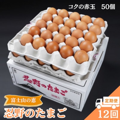 【毎月定期便】【新鮮な玉子】富士山の恵 忍野のたまご‐コクの赤玉‐50個入全12回
