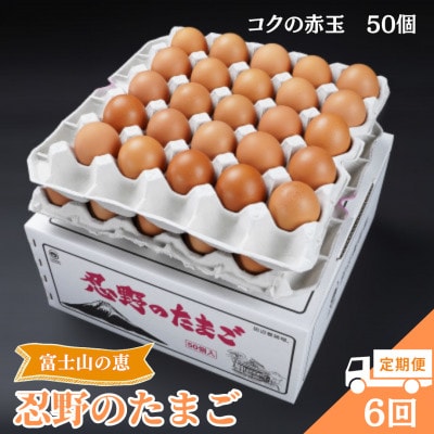 【毎月定期便】【新鮮な玉子】富士山の恵 忍野のたまご‐コクの赤玉‐50個入全6回