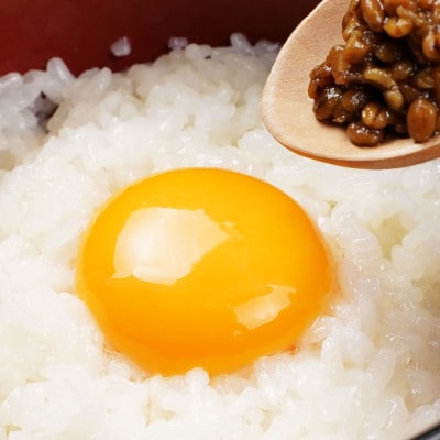 【毎月定期便】【新鮮な玉子】富士山の恵 忍野のたまご‐コクの赤玉‐50個入全2回