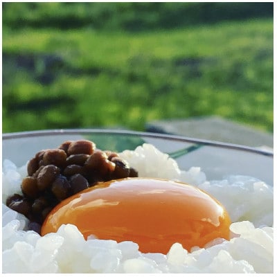 【毎月定期便】【新鮮な玉子】富士山の恵 忍野のたまご‐コクの赤玉‐30個入全6回