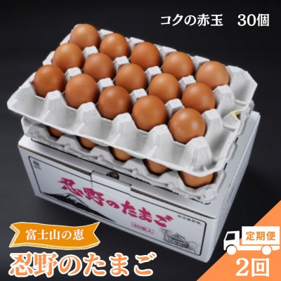 【毎月定期便】【新鮮な玉子】富士山の恵 忍野のたまご‐コクの赤玉‐30個入全2回