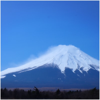 富士山の流水で作る”忍野の生そば”5個箱入り