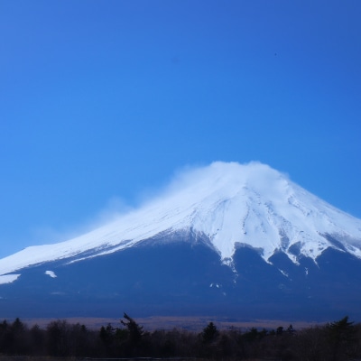 富士山の流水で作る”忍野の生うどん”5個箱入り