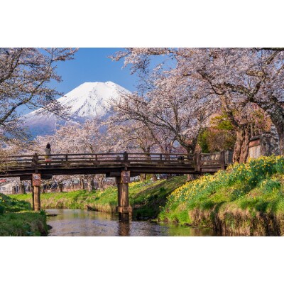 【山梨県忍野村】ふるさと納税旅行クーポン(15,000円分)