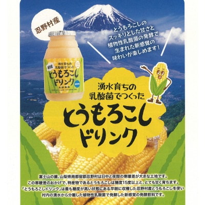 【ふるさと納税】湧水育ちの乳酸菌でつくったとうもろこしドリンク 12本