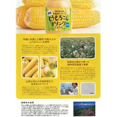 【ふるさと納税】湧水育ちの乳酸菌でつくったとうもろこしドリンク 12本