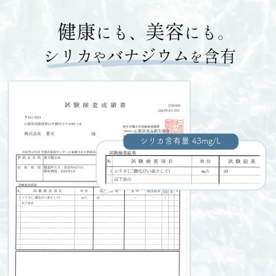 《12ヵ月定期便》富士山蒼天の水 2L×12本(2ケース)ラベルレス※離島不可