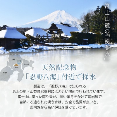《3ヵ月定期便》富士山蒼天の水 2L×12本(2ケース)ラベルレス※離島不可