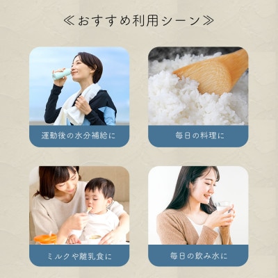 《2ヵ月定期便》富士山蒼天の水 2L×24本(4ケース)ラベルレス※離島配送不可