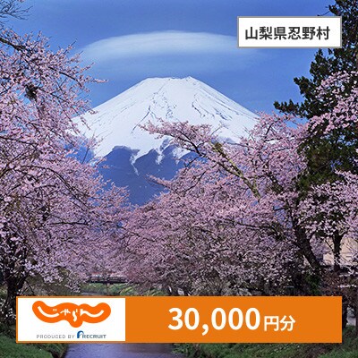 【じゃらんふるさと納税クーポン】 山梨県忍野村でつかえる30,000円 クーポン