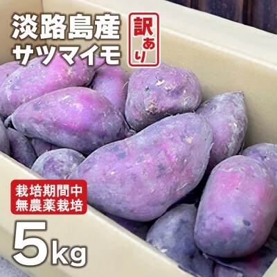 【訳アリ】淡路島産サツマイモ 5kg【栽培期間中、無農薬栽培】　at18008