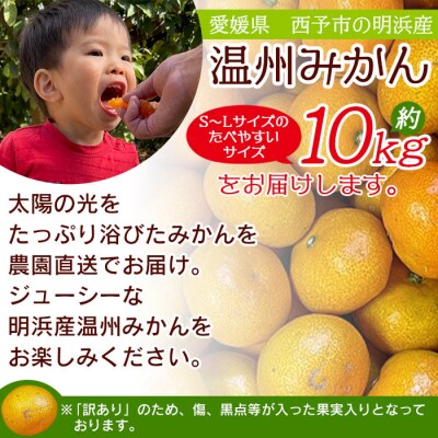 明浜産 浜のみかん屋直送 温州みかん 訳あり(10kg)