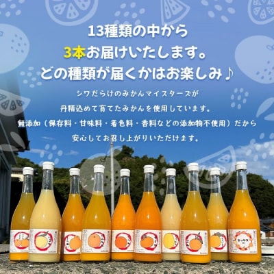 西予市産柑橘ジュエリーボックス3本入り(無添加果汁100%ジュース)
