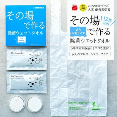 その場で作る除菌ウエットタオル12枚セット