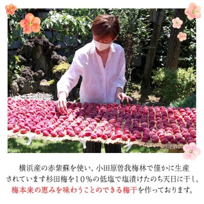 杉田梅の赤梅干　プラパック入り　1個