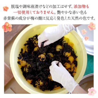 杉田梅の赤梅干　プラパック入り　1個