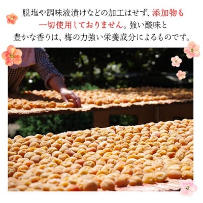 杉田梅の白梅干　プラパック入り　1個
