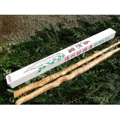 清川村特産　きよかわ自然薯1200(約1.2kg)本数おまかせ