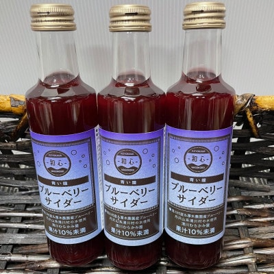 宮ヶ瀬ダムサイダー　各種200mlx3本化粧箱入り　3セット