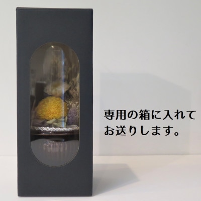 プリザーブドフラワー　ガラスドーム　仏花(ブラウン)