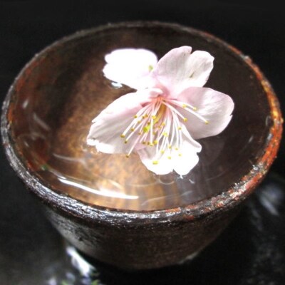 本格米焼酎と本格米芋混和焼酎「錐鑚」飲み比べ720ml×2種【日高町】