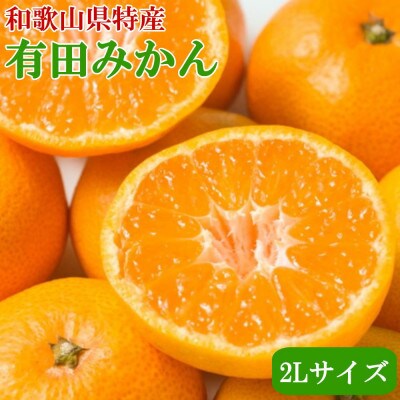 [秀品]和歌山有田みかん約9kg大玉(2Lサイズ)「2025年11月中旬より順次発送」(日高町)
