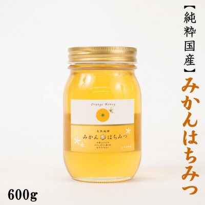 みかん王国和歌山県の下津で採れたみかん純粋国産みかんはちみつ600g【日高町】