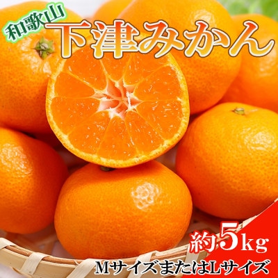 【産直】和歌山下津みかん約5kg(MサイズまたはLサイズのいずれかをお届け・秀品)(日高町)