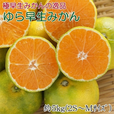 【極早生みかんの逸品】有田産ゆら早生みかん 約5kg【日高町】