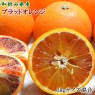 【希少・高級柑橘】国産濃厚ブラッドオレンジ「タロッコ種」約3kg【日高町】