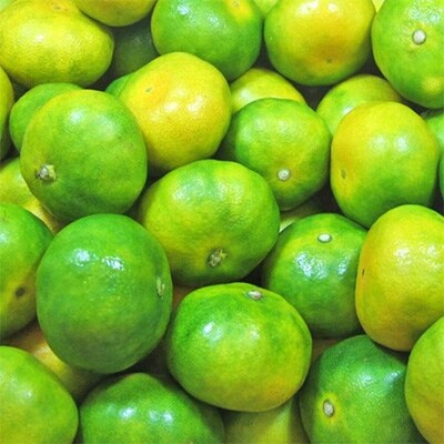 【産直】YN26極早生みかん約5kg(2S～Mサイズおまかせ)【日高町】