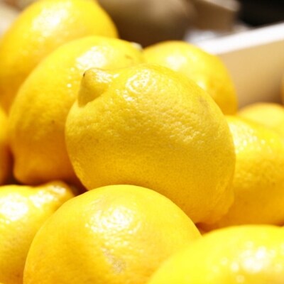 【産直】和歌山産レモン約5kg(サイズ混合)