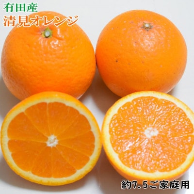 有田産清見オレンジ約7.5kg(M～3Lサイズ)ご家庭用(日高町)