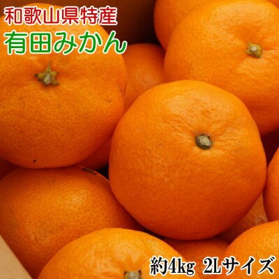 [秀品]和歌山有田みかん約4kg(2Lサイズ)「2025年11月中旬より順次発送」(日高町)