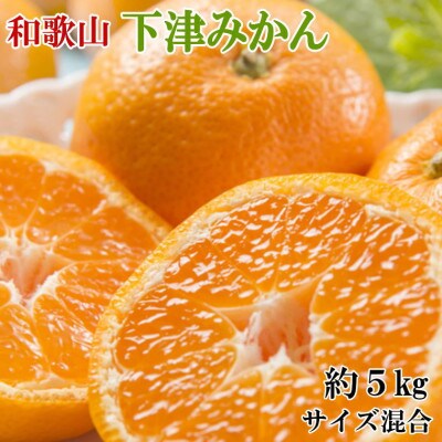 【秀優混合品】和歌山下津みかん約5kg(サイズ混合)(日高町)