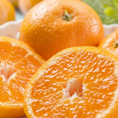 【産直・秀品】和歌山下津早生みかん約6kg(2Lサイズ)(日高町)
