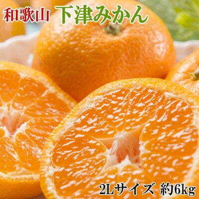 【産直・秀品】和歌山下津みかん約6kg(2Lサイズ)(日高町)