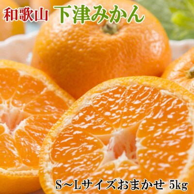 【産直・秀品】和歌山下津みかん約5kg(S～Lサイズおまかせ)(日高町)