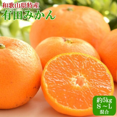 [秀品]紀州有田みかん約5kg(S～Lサイズ混合) 「2025年11月中旬より順次発送」(日高町)