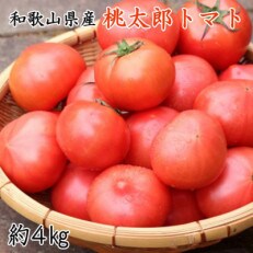 【新鮮】和歌山県産紀の川の桃太郎トマト約4kg(L～2Lサイズおまかせ)(日高町)