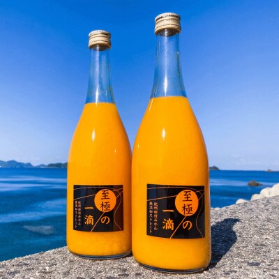 【無添加】田村みかんの新鮮100%ジュース「至極の一滴」720ml×2本入り(日高町)