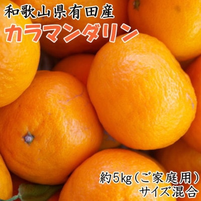 【春みかん】和歌山有田産カラマンダリン約5kg(サイズ混合　ご家庭用)(日高町)