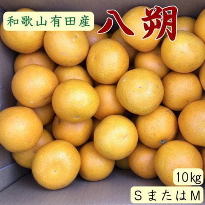 【日高町】【手選果】有田産の八朔約10kg(SまたはMサイズいずれかお届け)