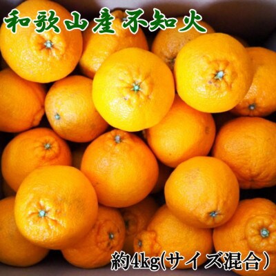 和歌山県産不知火約4kg(サイズ混合)(日高町)