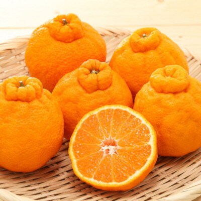 和歌山県産不知火約4kg(サイズ混合)(日高町)