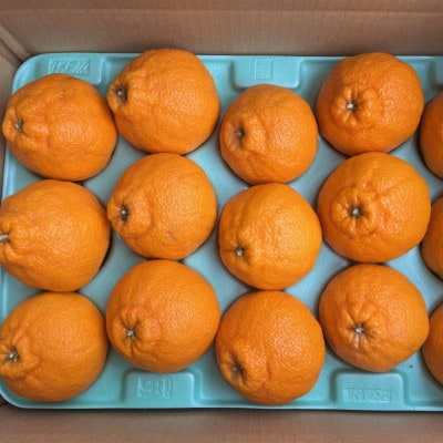 和歌山県産不知火約5kg(12玉～20玉おまかせ)(日高町)